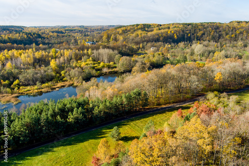Wallpaper Mural Aerial view of autumn forest with green and yellow trees. Beautiful fall scenery near Vilnius city, Lithuania Torontodigital.ca