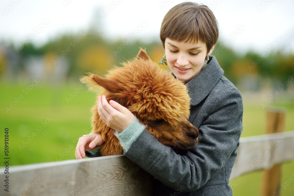 Cute young girl stroking an alpaca at a farm zoo on autumn day. Child feeding a llama on an animal farm. Kid at a petting zoo at fall. Cute young girl stroking an alpaca at a farm zoo on autumn day. Child feeding a llama on an animal farm. Kid at a petting zoo at fall.