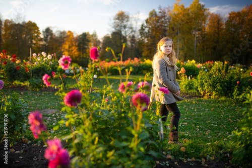 Beautiful preteen girl in blossoming dahlia field. Child picking fresh flowers in dahlia meadow on autumn day.
