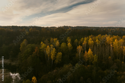 Aerial view of autumn forest with green and yellow trees. Beautiful fall scenery near Vilnius city, Lithuania