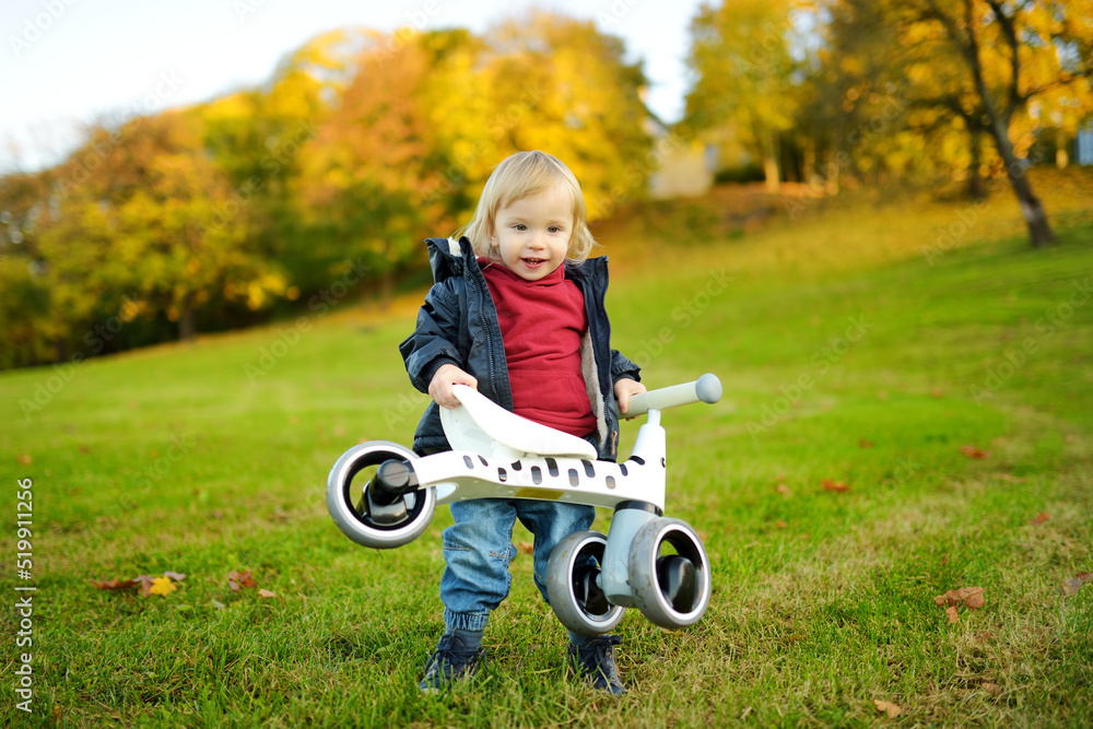 Funny toddler boy riding a baby scooter outdoors on autumn day. Kid training balance on mini bike in a city park. Autumn activities for small kids. Funny toddler boy riding a baby scooter outdoors on autumn day. Kid training balance on mini bike in a city park. Autumn activities for small kids.