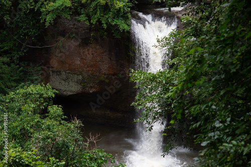 Forests and waterfalls in nature