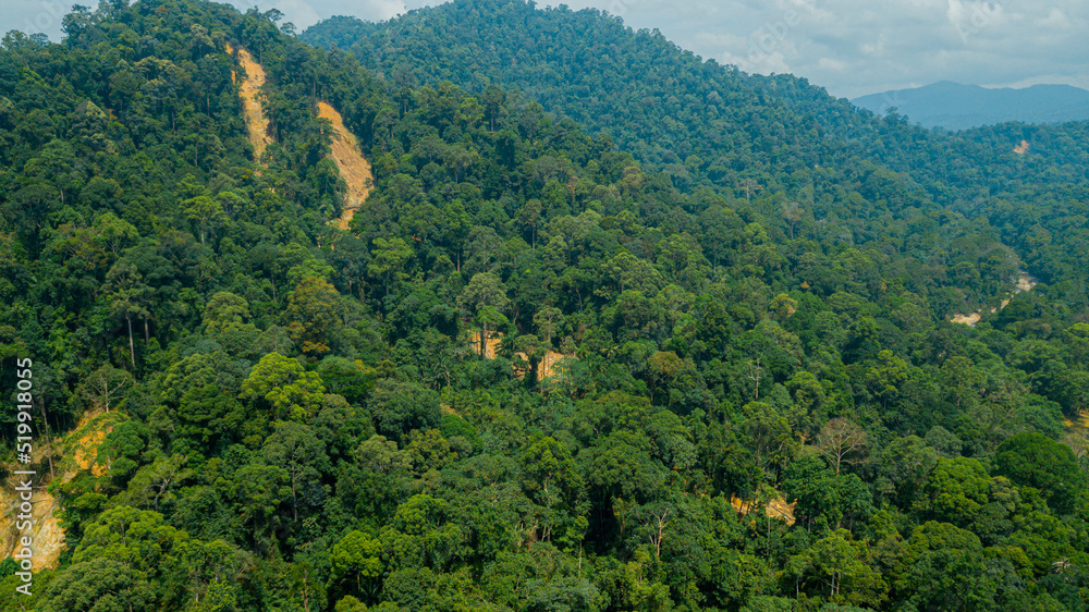 Aerial drone view of forest scenery in Hutan Lipur Belukar Bukit, Kuala Berang, Terengganu, Malaysia.