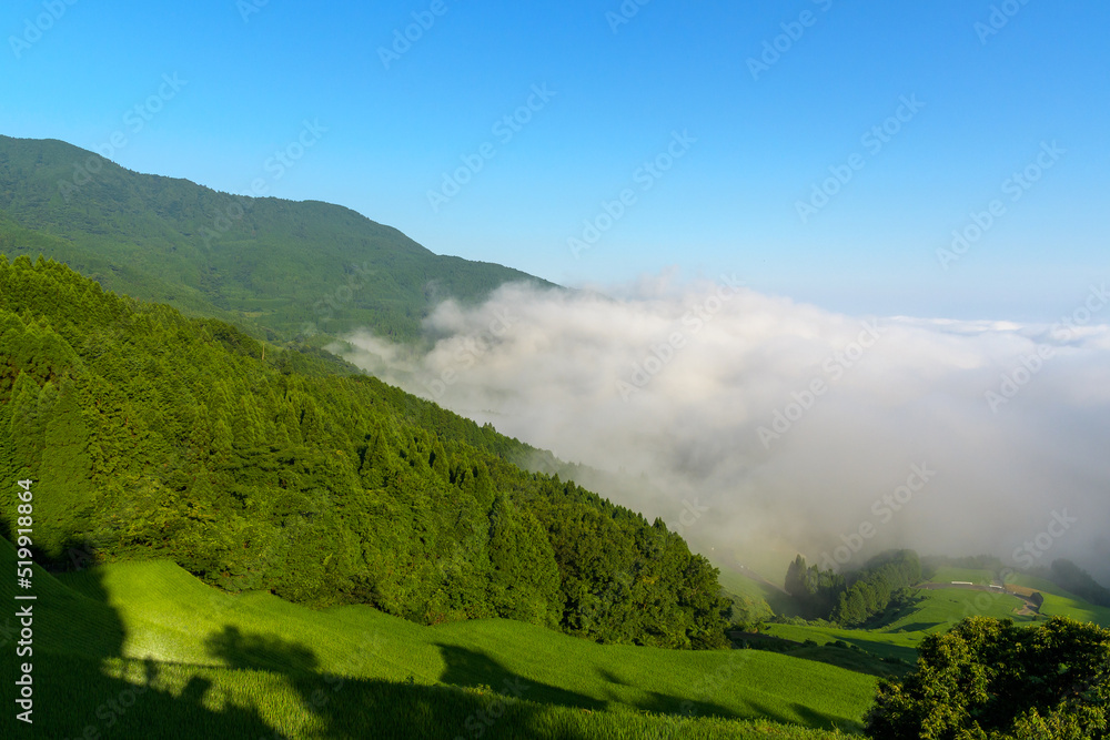 大平棚田 大平棚田