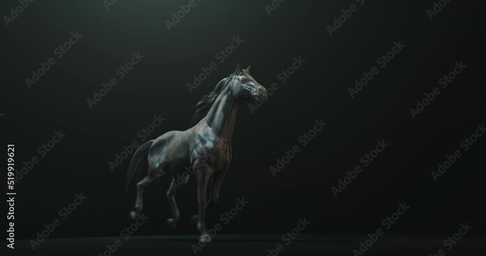 Dark stallion rearing up against black background with side light on body, horse seamless loop animation Dark stallion rearing up against black background with side light on body, horse seamless loop animation