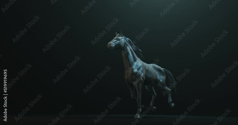 Dark stallion rearing up against black background with side light on ...
