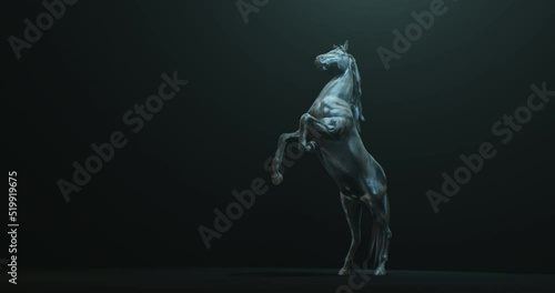 Dark stallion rearing up against black background with side light on body, horse seamless loop animation