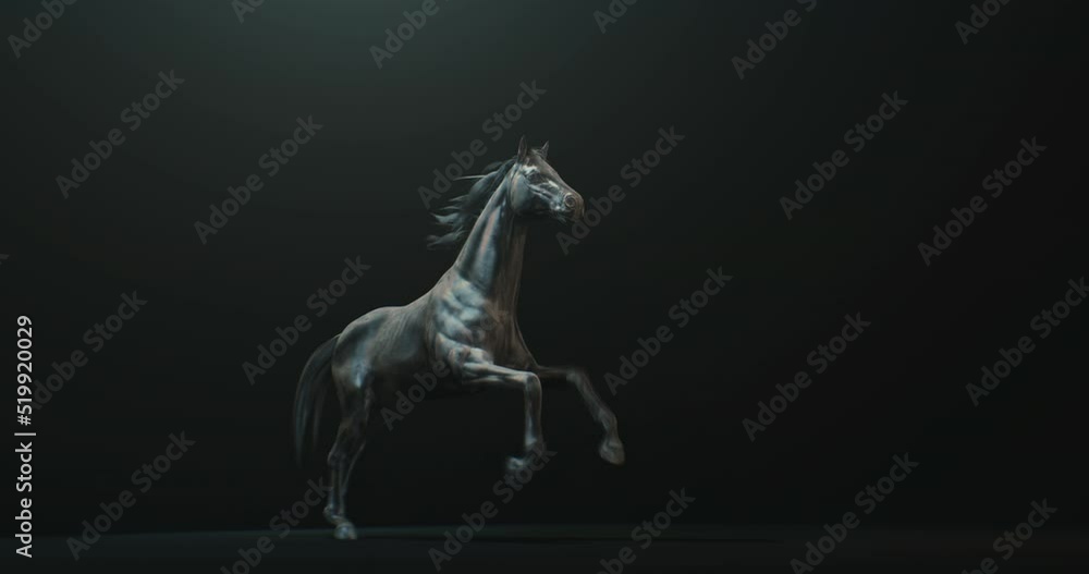 Dark stallion rearing up against black background with side light on body, horse seamless loop animation Dark stallion rearing up against black background with side light on body, horse seamless loop animation