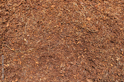 Closeup of cocopeat or coco peat texture background photo