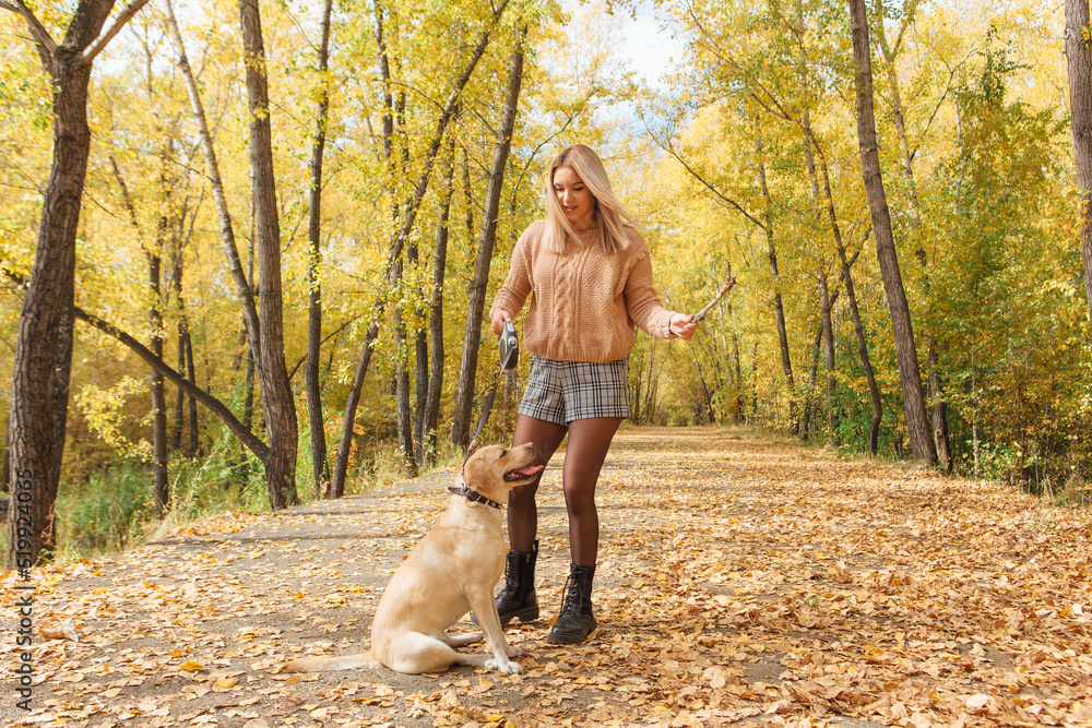 Young beautigul caucasian woman walking with her beloved labrador dog in autumn park with fallen golden leaves on the ground. Young beautigul caucasian woman walking with her beloved labrador dog in autumn park with fallen golden leaves on the ground.