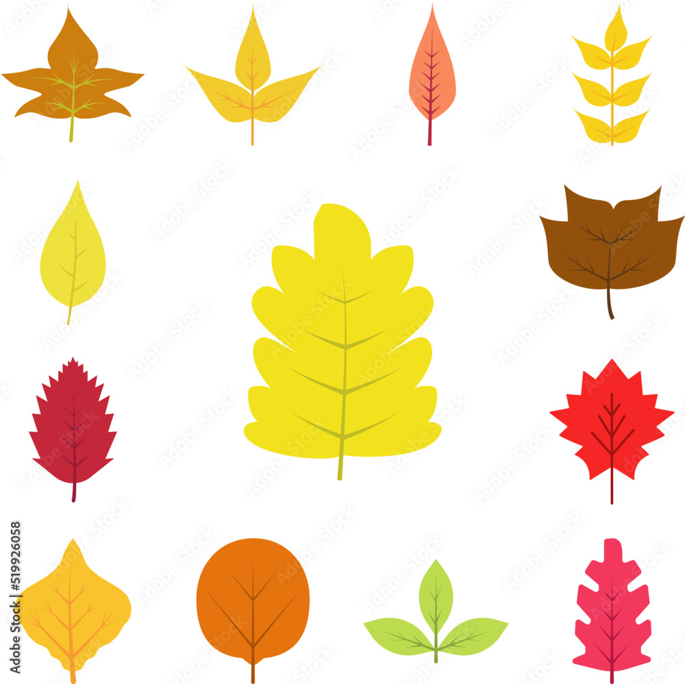 Obraz premium Autumn leave, yellow icon in a collection with other items