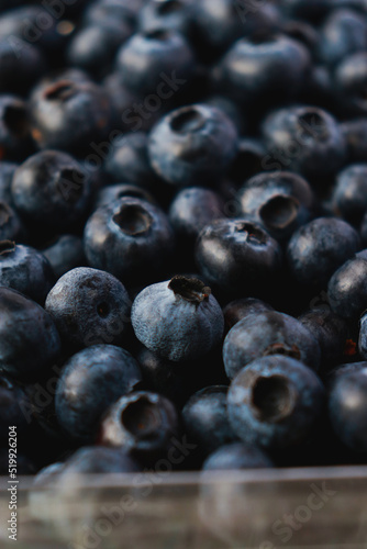 Wallpaper Mural close up of blueberries, background Torontodigital.ca