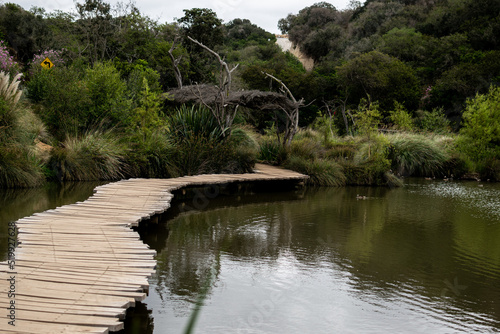 wooden bridge on the lake