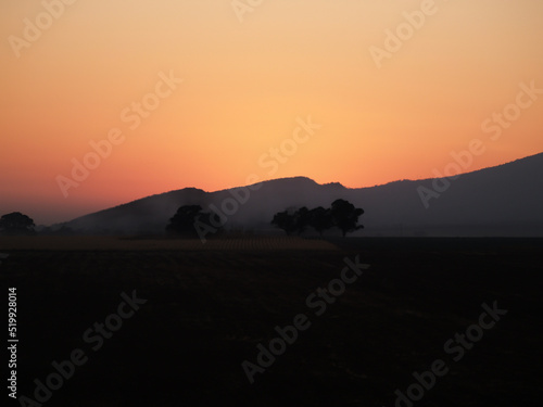In silhouette African landscape at sunset with bright red and orange color sky