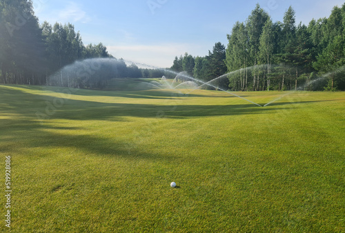 Watered device watered grass golf course and white golf ball photo