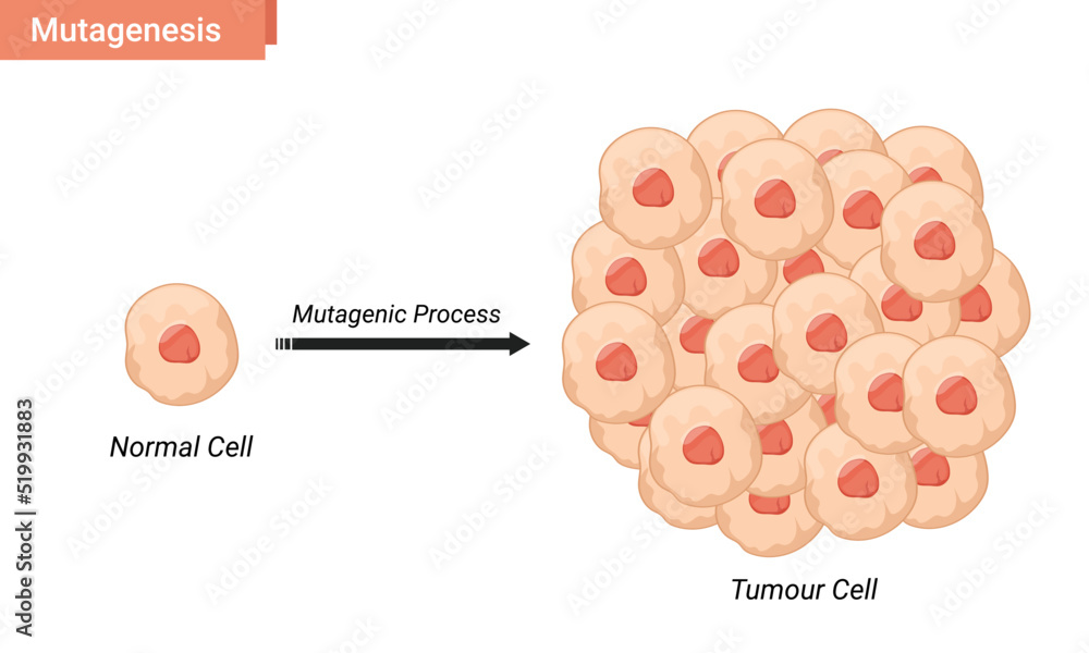 Mutagenesis cell vector illustration, tumor cell proliferation - obrazy, fototapety, plakaty 