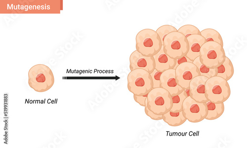 Mutagenesis cell vector illustration, tumor cell proliferation photo