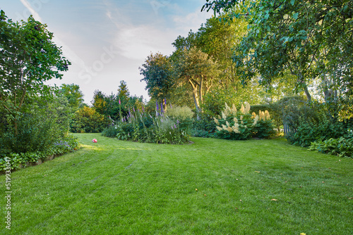 My garden. Well kept garden, park or yard with green grass, trees and flowers growing on a relaxing, fresh and spring day outside with copy space. Scenic, calm and beautiful landscape view in nature. photo