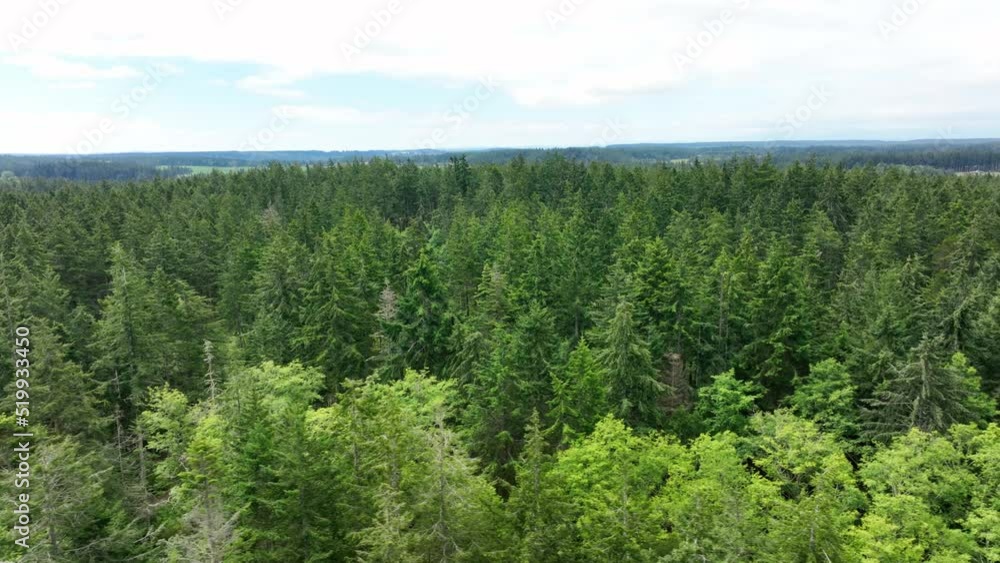 Aerial shot panning over a dense forest on Whidbey Island. Aerial shot panning over a dense forest on Whidbey Island.