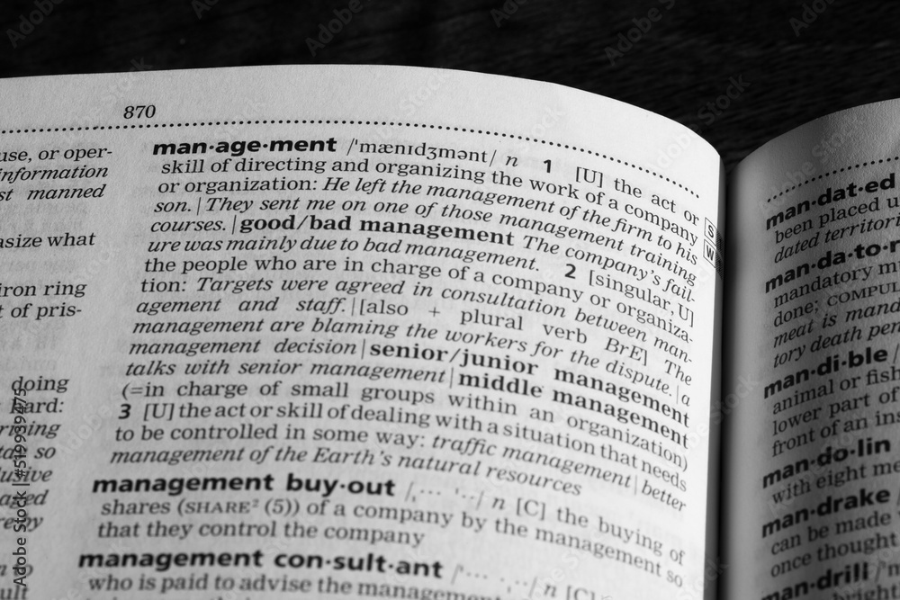 Fototapeta premium Dictionary definition of management