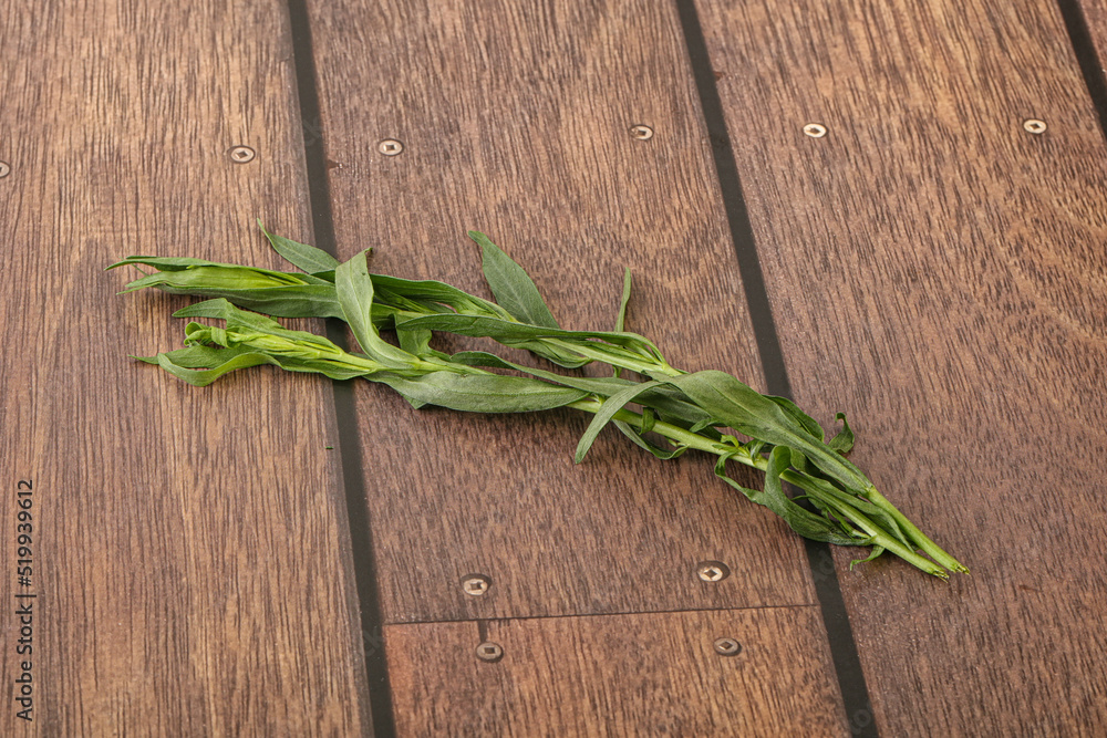 Green tarragon herb spice for cooking Green tarragon herb spice for cooking