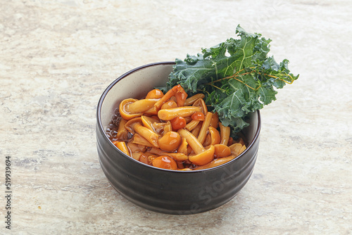 Wild pickled honey mushroom in the bowl