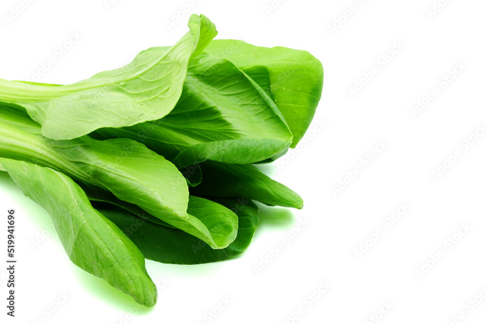Green vegetable (Bok Choy) isolated on white background. Clipping path. Green vegetable (Bok Choy) isolated on white background. Clipping path.