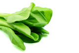 Green vegetable (Bok Choy) isolated on white background. Clipping path.