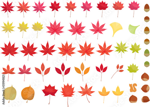 秋の紅葉で赤や黄色に色づいたモミジの葉のイラスト