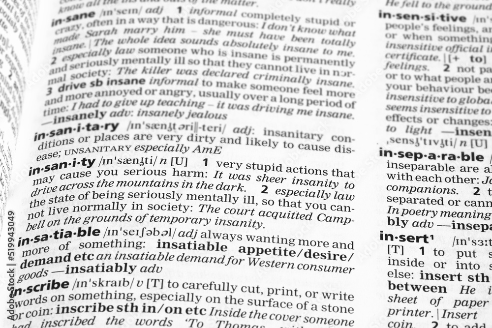 Dictionary definition of insanity - obrazy, fototapety, plakaty 