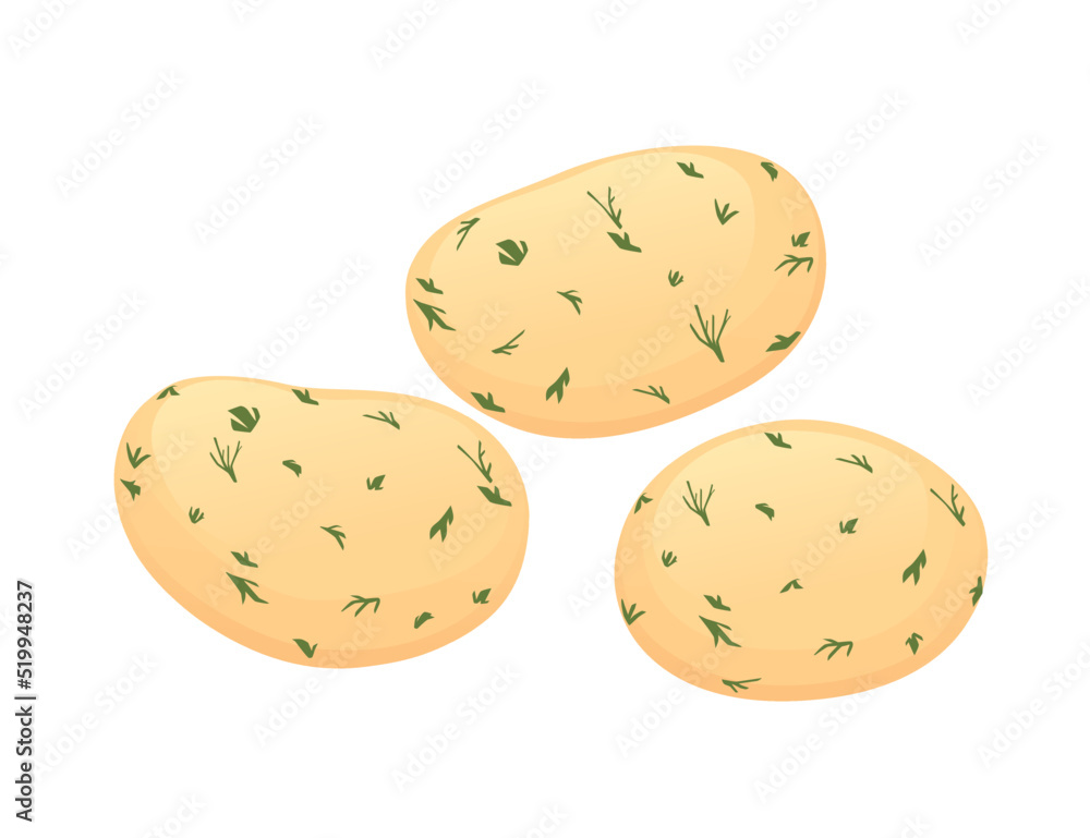 Three cooked potato with bill boiled peeled potatoes vector illustration isolated on white background Three cooked potato with bill boiled peeled potatoes vector illustration isolated on white background
