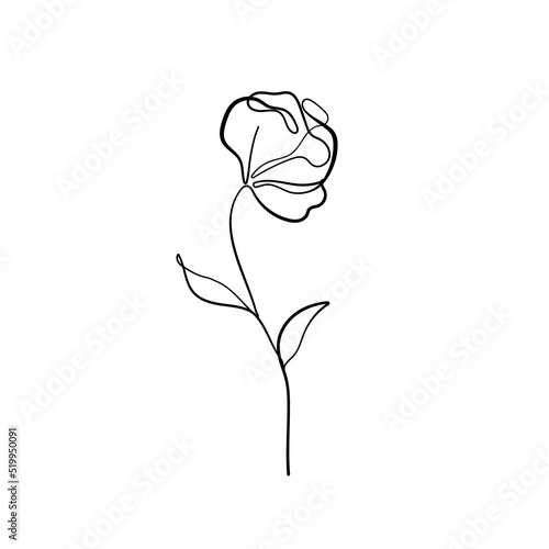 One Line Vector Drawing of Flower. Botanical Modern Single Line Art, Aesthetic Contour. Perfect for Home Decor, Wall Art Posters, or t-shirt Print, Mobile Case. Continuous Line Drawing 