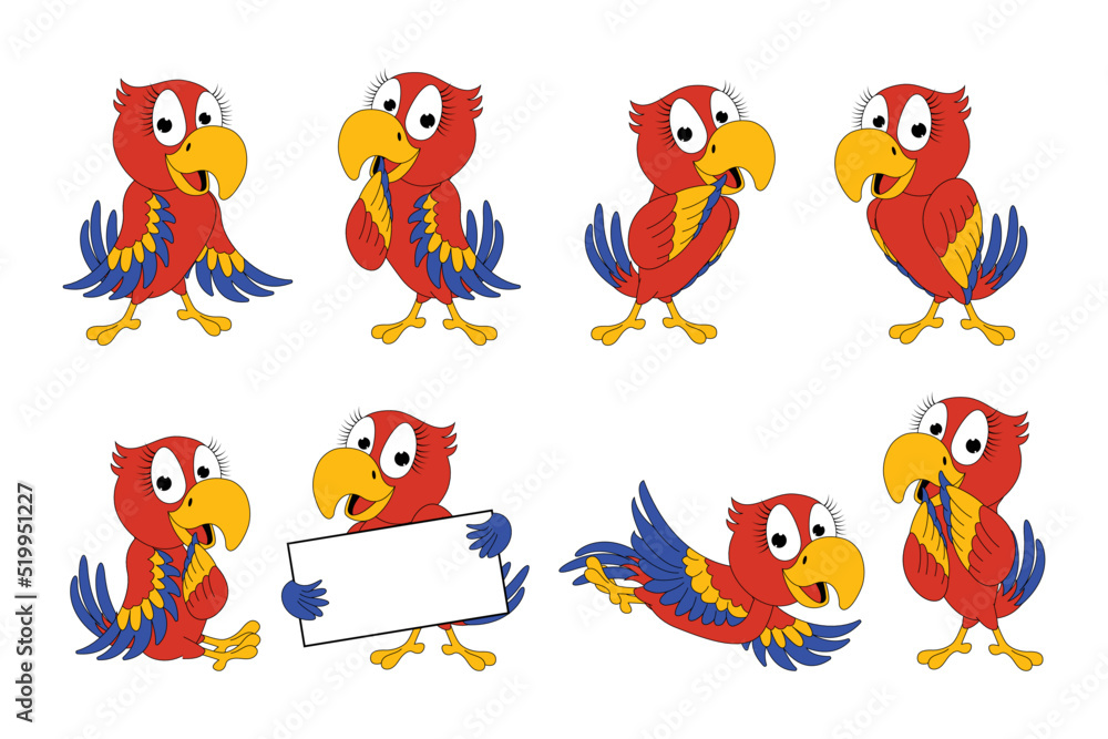 Fototapeta premium cute parrot bird cartoon graphic