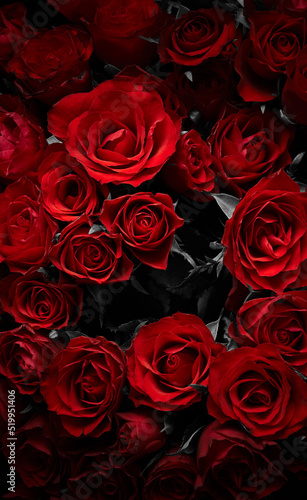 Dark red roses abstract flowers background