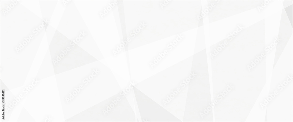 Abstract background with lines, grey white abstract stripe background geometry shine and layer element vector for presentation design. Abstract background with lines, grey white abstract stripe background geometry shine and layer element vector for presentation design.