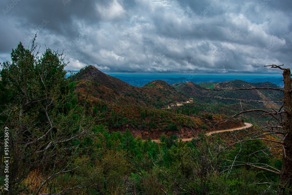 Naklejka premium Gila National Forest, Mountain Road, New Mexico 