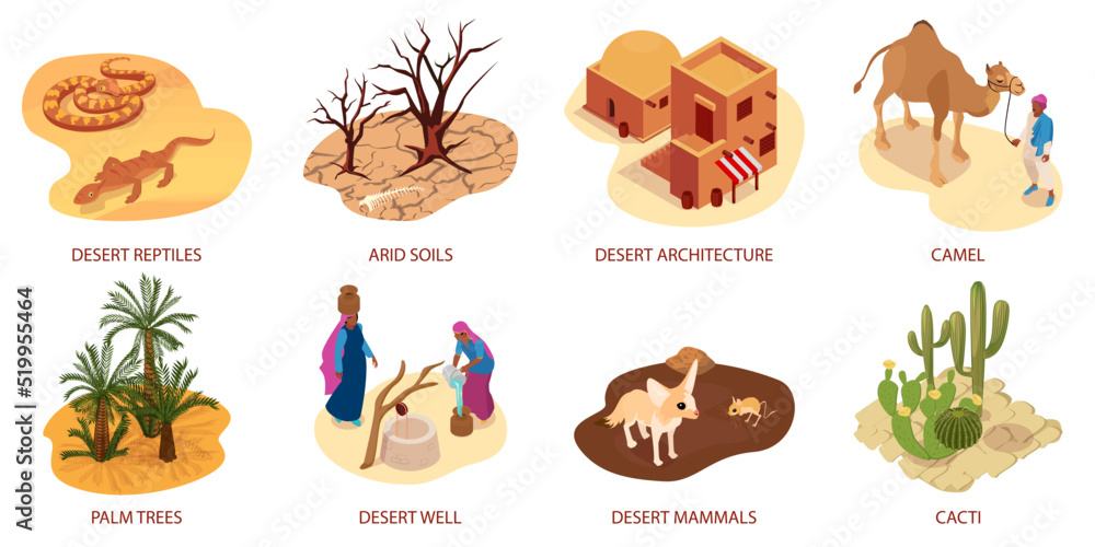 Desert Isometric Compositions