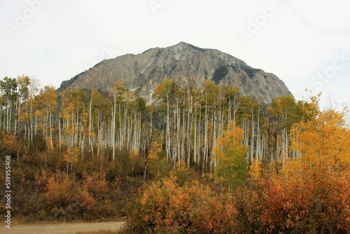 Mountain Landscape in the Fall