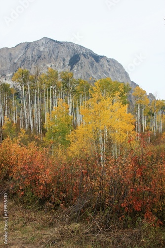 Mountain Landscape in the Fall
