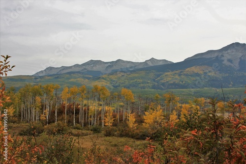 Mountain Landscape in the Fall
