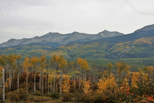 Mountain Landscape in the Fall