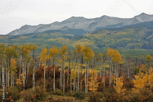 Mountain Landscape in the Fall