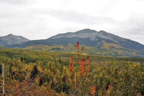 Mountain Landscape in the Fall