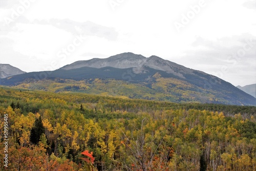 Mountain Landscape in the Fall