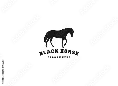 black horse logo template in white background
