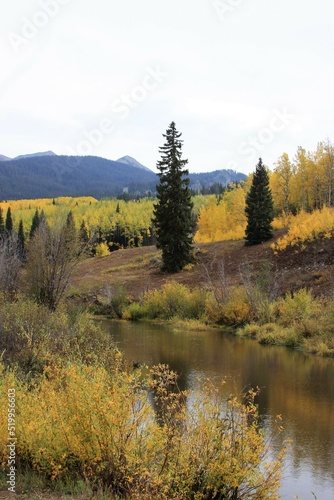 Mountain river landscape in the Fall