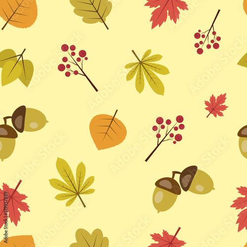 Seamless pattern with autumn leaves. Leaves. acorn, grass.