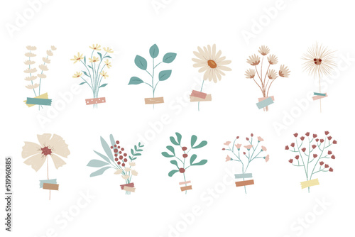 hand drawn flower vector illustrations set 