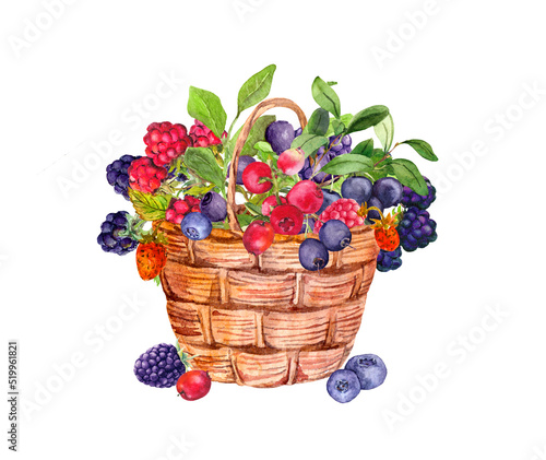 Basket with berries. Watercolor food illustration - blueberry, blackberry, raspberry, cranberry, strawberry