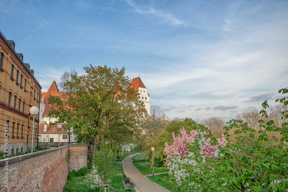 beautiful view of a castle in germany, old town in Ingolstadt, sakura blossom